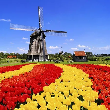 아파트 In Egmond Op Loopafstand & Centrum *