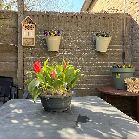 In Egmond Op Loopafstand & Centrum Apartment *