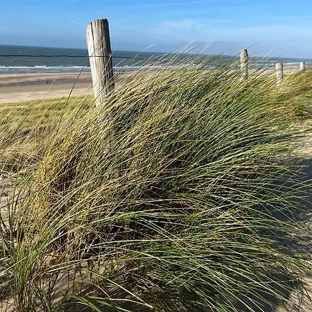 Appartement In Egmond Op Loopafstand & Centrum