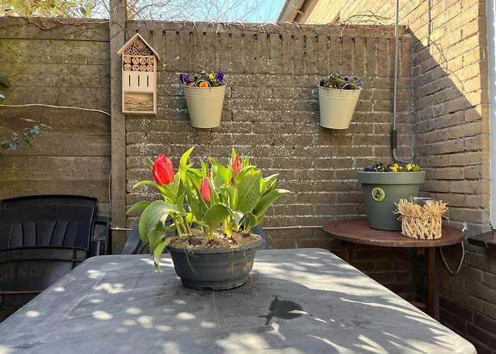 In Egmond Op Loopafstand & Centrum Apartament *