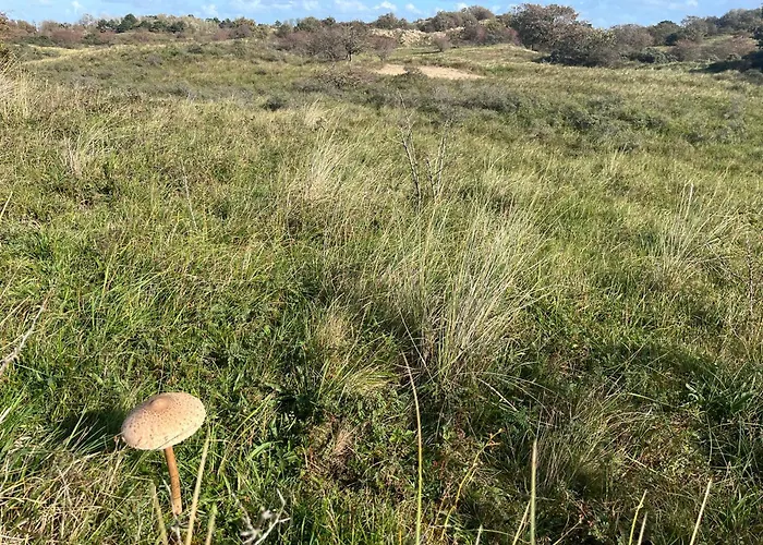 In Egmond Op Loopafstand & Centrum شقة إغموند آن زي