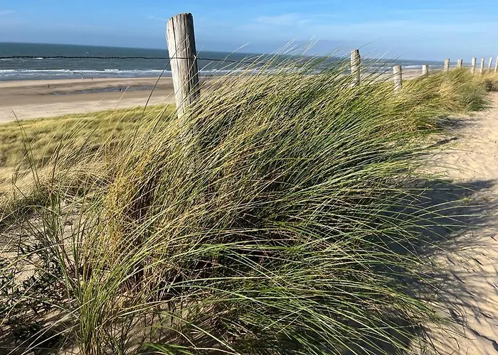 Apartament In Egmond Op Loopafstand & Centrum