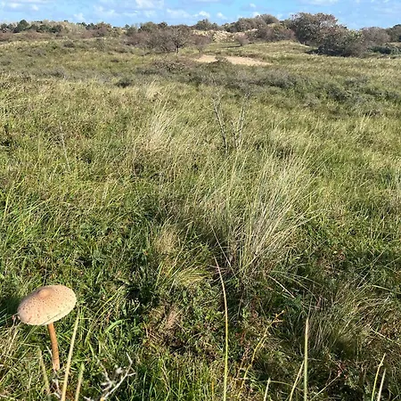 In Egmond Op Loopafstand Strand&centrum Appartement Egmond aan Zee