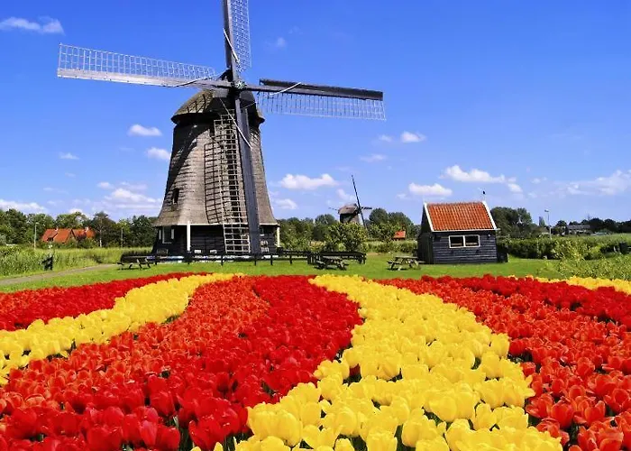Appartement In Egmond Op Loopafstand Strand&centrum *